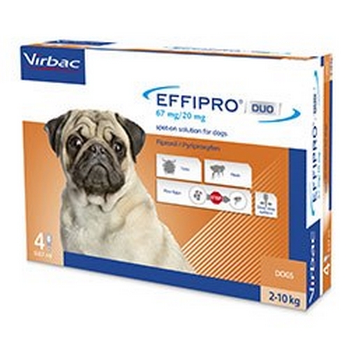 EFFIPRO DUO CHIEN 67MG (2-10KG)  PLAQ/4